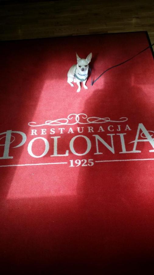 Hotelik Polonia Łowicz Eksteriør bilde